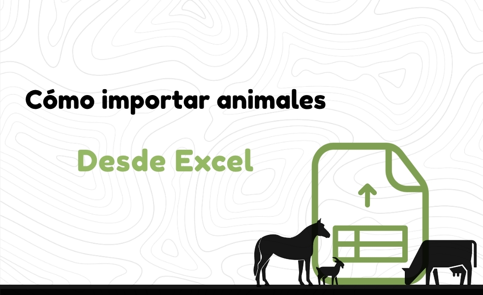 How to import animal from Excel