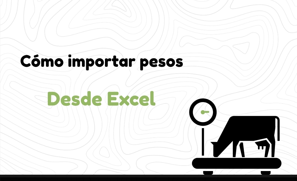 How to import weights from Excel